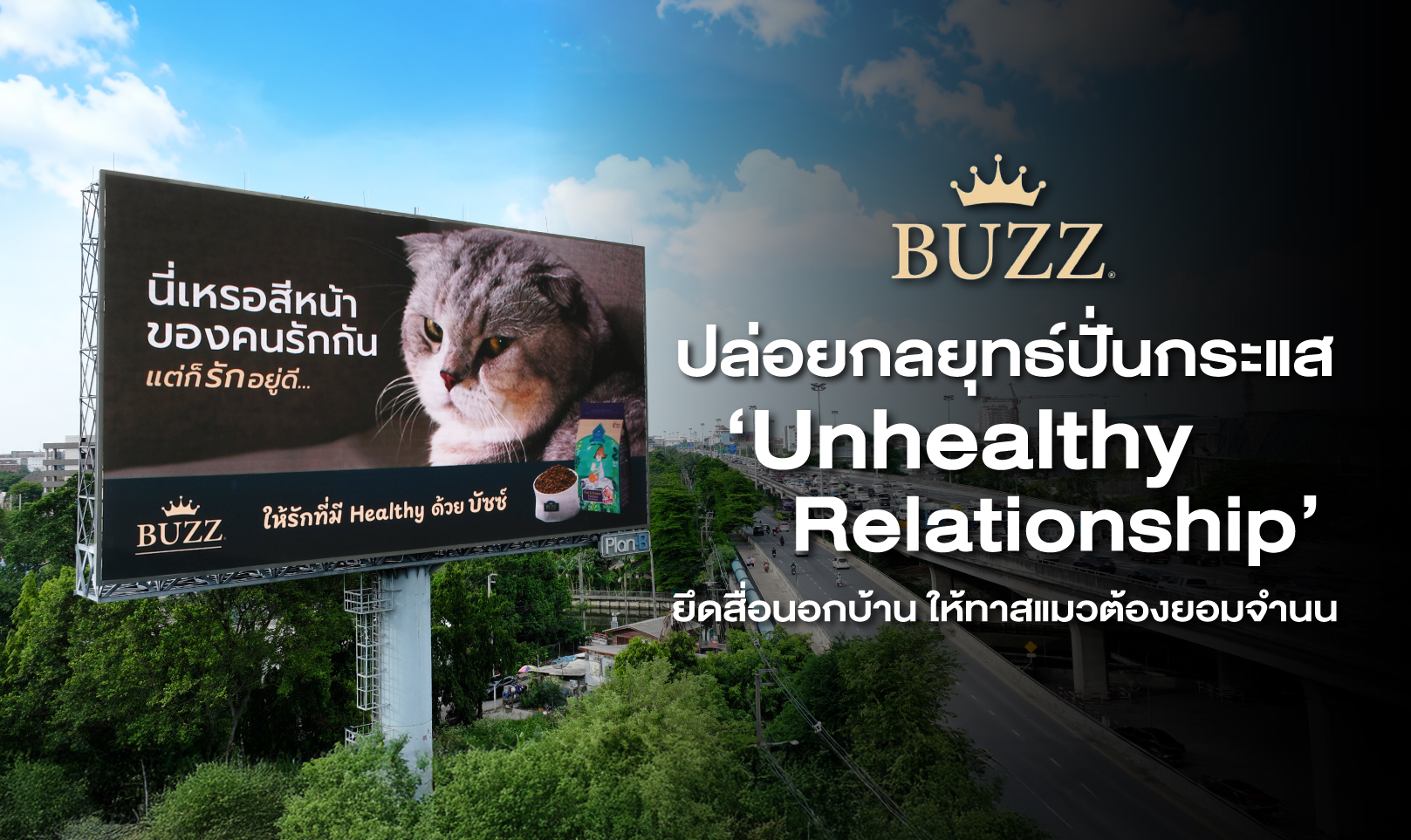BUZZ ปล่อยกลยุทธ์ปั่นกระแส ‘Unhealthy Relationship’ ยึดสื่อนอกบ้านให้ทาสแมวต้องยอมจำนน!